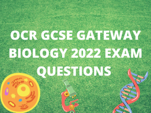 FREE OCR GCSE Gateway Biology 2022 Exam Past Paper Bundle