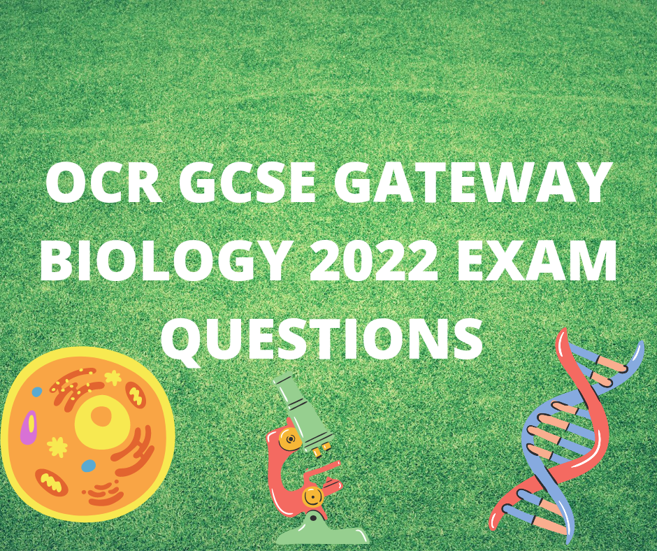FREE OCR GCSE Gateway Biology 2022 Exam Past Paper Bundle 1 FREE OCR GCSE Gateway Biology 2022 Exam Past Paper Bundle